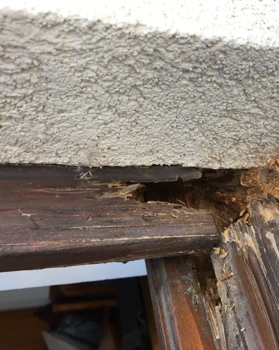 Ausgebrochene und aufgesplitterte obere Ecke einer dunkelbraunen Holztürzarge unter einer verputzten Hausmauer